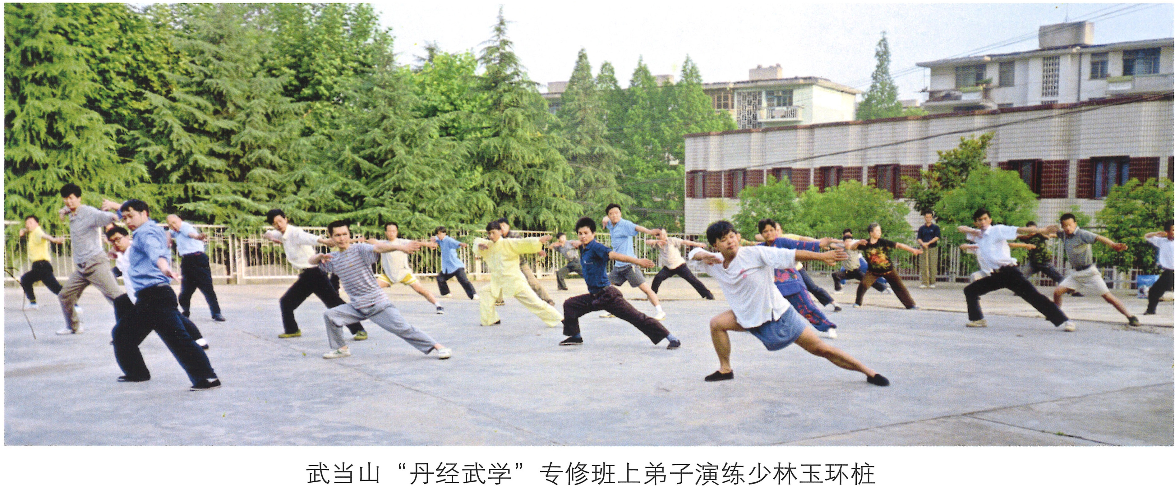 情系中华魂 - 武当山“丹经武学”专修班上弟子演练少林玉环桩